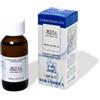 SARANDREA MARCO &C. Srl BETULA VERRUCOSA Linfa MG 100ml
