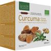 NATURA SERVICE Srl Curcuma + Cicoria + Zenzero Bio Integratore Alimentare 15 Ampolle - Salute Digestiva e Benessere Articolare