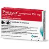 MSD ANIMAL HEALTH Panacur 250mg 10 Compresse Veterinarie per Cani e Gatti - Trattamento Efficace contro i Vermi Intestinali