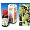SPECCHIASOL Srl BARDANA TM 50ml