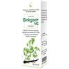 CAIRA LABORATORIO ERB. SA. Srl CAIRA GINKGOVIR Macer.Gtt 50ml