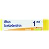BOIRON Srl BO.RHUS TOXICOD*1000K DU 1G