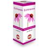 KOS Srl ECHINACEA SOL IAL PIANTA FR100