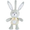 CHICCO (ARTSANA SpA) CH Gioco FD Lullaby Star Bunny