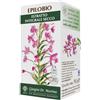 DR.GIORGINI SER-VIS Srl EPILOBIO Estr.Int.Secco SVS