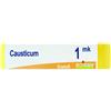 BOIRON Srl CAUSTICUM*1MK GL 1G