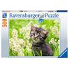 Ravensburger - Puzzle Gattino nel prato, 500 Pezzi, Idea regalo, per Lei o Lui, Puzzle Adulti