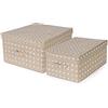 Compactor - Set Di 2 Scatole Pieghevoli Con Coperchio, Polipropilene Non Tessuto e Cartone, Large 40 x 50 x 25 cm, Small 30 x 43 x 19 cm, Gamma Rivoli, Marrone/Bianco, 10444