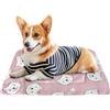 DEARBAG Cuscino per Cane Piccolo Reversibile, 49 x 32cm Tappetino Letto Caldo Lavabile per Animali Domestici, Divano Tappetino per Cani/Gatto, Lettino per Cani, Materasso per Cani (Rosa)