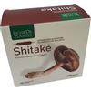 NATURA SERVICE Srl LIGNE DE PLANTES SHITAKE BIO 15 AMPOLLE DA 15 ML