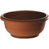 Erba Ciotola Sigma completa cm 35 terracotta
