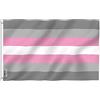 Anley Fly Breeze 3 x 5 piedi Demiwoman Pride Flag - Colore vivido- Intestazione in tela e doppie cuciture - Demiwoman LGBT Flags Poliestere con occhielli in ottone 3 x 5 piedi
