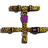 ZEE DOG - PETTORINA AD H HONEY XS