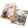 Pigna, Cartella portadocumenti con elastico DOLCI CUCCIOLI, dorso 1,2, formato 26x35,5 cm., pacco da 6 pezzi