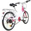 panfudongk Bicicletta da bambina da 20 pollici, 6 marce, con telaio in acciaio al carbonio rosa