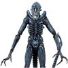 NECA ALIENS FIGURE SERIES 2 XENOMORPH WARRIOR NEW NUOVO ALIEN