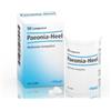 Guna Paeonia 50tav Heel