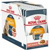ROYAL CANIN ITALIA SPA Feline Health Nutrition Wet Care Intense Beauty 12x85 G