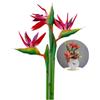 Rikyo Strelitzia - 3 grandi uccelli del paradiso, 73,7 cm, fiori permanenti, che imitano le piante tropicali, la parte del fiore è realizzata in morbida gomma PU, piante artificiali per casa e ufficio,