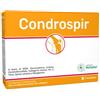 ANVEST HEALTH Srl CONDROSPIR 14BUST