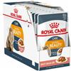 Royal Canin Feline Intense Beauty Gravy Umido Per Gatti Adulti Bustine 12x85g Royal Canin