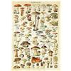 MyPuzzle.com MyPuzzle Champignons - Funghi Per Tutti, Poster D'epoca, Adolphe Millot - Premium 1000 Pezzi Puzzle - MyPuzzle Collezione speciale di Havana Puzzle Company