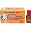 Ginseng FOSFARSILE FORTE GINSENG 10 FLACONCINI