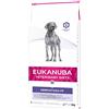 Eukanuba Dermatosis FP for Dogs 5 kg Adult Fish Potato