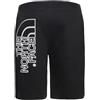 The North Face Graphic Light Pantaloncini, Uomo, Nero (TNF Black), L