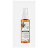 KLORANE - PIERRE FABRE ITALIA SPA KLORANE OLIO SPY MANG100ML