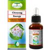 Renaco Integratore Citoyang Energy gocce con zenzero e ginkgo, 50ml
