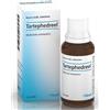 GUNA SpA Tartephedreel Heel gocce orali 30 ml