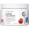 SEAGARDEN Collagene Marino I dal merluzzo artico norvegese selvatico I Con Vitamina C I Integratore per Pelle, Capelli, Ossa e Articolazioni I in polvere I Gusto Fragola I 150 g