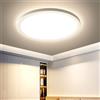 EASY EAGLE Plafoniera LED Soffitto, 3000K Lampadario LED Bagno, Moderna Lampada Soffitto Luce per Camera da Letto Cucina Soggiorno 18W 22CM