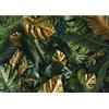Runa Art Carta da parati fotografica foglie tropicali Monstera 352 x 250 cm Vello Sfondo Murale XXL Moderne Decorazione Soggiorno Camera De Letto Sala Ufficio oro verde 9591011a