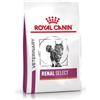 Royal Canin Veterinary Renal Select | 4000 g | Alimento dietetico completo per gatti | Può aiutare a sostenere la funzione renale nell'insufficienza renale