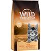 Wild Freedom Set risparmio! 3 x 2 kg Wild Freedom Crocchette per gatti - Kitten Wide Country - Pollame