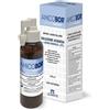 LEVANTE AMICOBOR SOL ACQUOSA 100ML