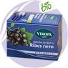 Viropa Ribes Nero BIO Tisana Con 15 Filtri