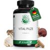 GREEN NATURALS Funghi vitali (180 capsule da 650 mg) - Produzione tedesca - 100% vegan e senza additivi