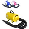 Gravitis Forniture per animali domestici 2800w Asciugacapelli professionale per animali domestici con tubo: potente essiccatore per cani Blaster con velocità variabile (giallo)