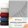 Flowen Lenzuola Matrimoniali con Angoli 200x200 cm Grigio Chiaro in Microfibra per Letto Super King Size con Materasso fino a 30cm Tessuto Anti-Acaro e Ipoallergenico di Alta Qualità Lavabile in Lavatrice