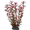 Hobby ludwigia cm 25