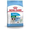 Royal Canin Mini Puppy | 2 kg | Alimento secco per cani di piccola taglia di peso fino a 10 kg | Fino a 10 mesi di età | Per le difese dell'organismo e lo sviluppo del cervello
