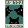 Yiruhe Divertente targa in latta con gatto nero con scritta Are You Pooping, divertente decorazione da parete per il bagno, 20,3 x 30,5 cm, aggiungi risate e fantasia al tuo bagno! (are you pooping EN 2337
