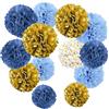 YBwanli pom pom carta velina,pompon,decorazioni festa,decorare tavolo per nozze,fiori di carta,decorazioni battesimo bimba,nuovo stile Decorazioni per feste eleganti ed ecologiche, confezione da 13