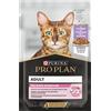 Pro Plan PURINA PRO PLAN Cat Adult Delicate Digestion 6 x 85 g umido per gatto - Tacchino in salsa