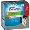 Dentalife PURINA Dentalife Snack per igiene dentale dei cani di tg media (12 - 25 kg) - 24 Stick (8 x 69 g)