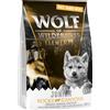 Wolf of Wilderness Free-Range-Meat Crocchette e Alimenti umidi per cani - 300 g crocchette Junior Rocky Canyons - Manzo allevato all'aperto