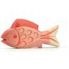 Pesce rosso Ostheimer